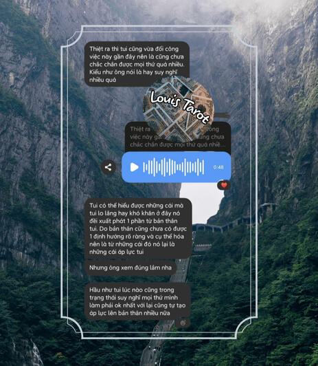 Feedback