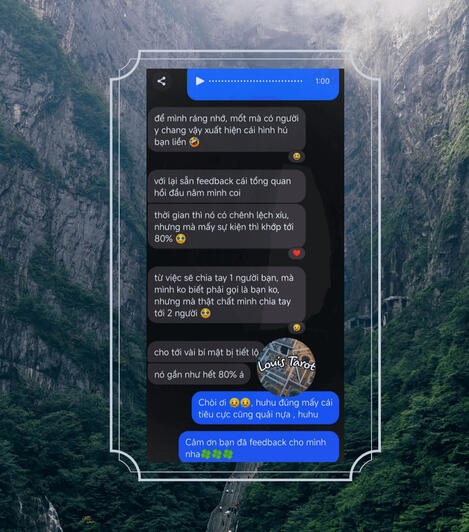 Feedback