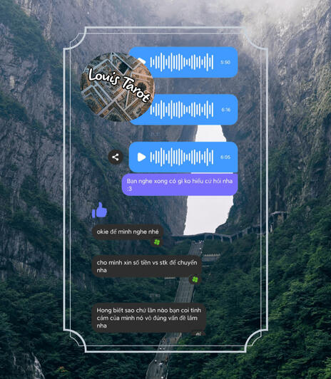 Feedback